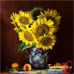 3b7d580dc80f129ba6542ff4f36a7b14