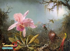 Martin_Johnson_Heade_-_Cattelya_Orchid_and_Three_Brazilian_Hummingbirds_CGF