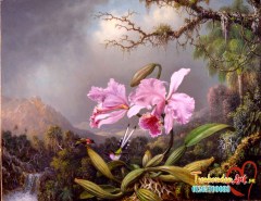 S_112_OrchidStudy_Heade