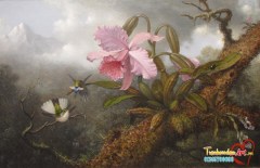 cb-painting-martin-johnson-heade