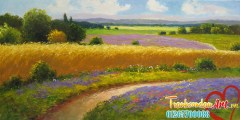 gerhard_nesvadba_16x31_wheatfield_path